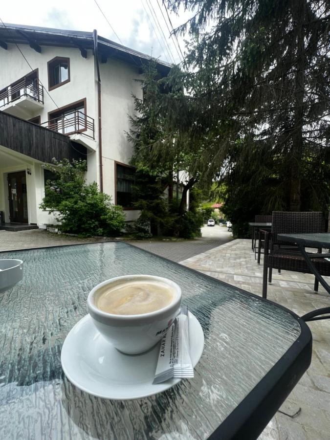Chalet Minut Ватра Дорней Екстериор снимка